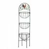 Discount π 3.5ft. Rooster 3-Tier Kitchen Basket by Zingz & Thingz π 1 Discount π 3.5ft. Rooster 3-Tier Kitchen Basket by Zingz & Thingz π -Zingz and Thingz Shop D298621S 1