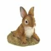Discount ✨ 6" Curious Bunny Garden Décor by Zingz & Thingz 🥰 -Zingz and Thingz Shop D298841S 1