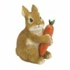 Best reviews of ⌛ 5" Bunny Hugging Carrot Garden Figurine by Zingz & Thingz 🤩 -Zingz and Thingz Shop D298881S 1