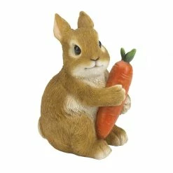 Best reviews of ⌛ 5" Bunny Hugging Carrot Garden Figurine by Zingz & Thingz 🤩