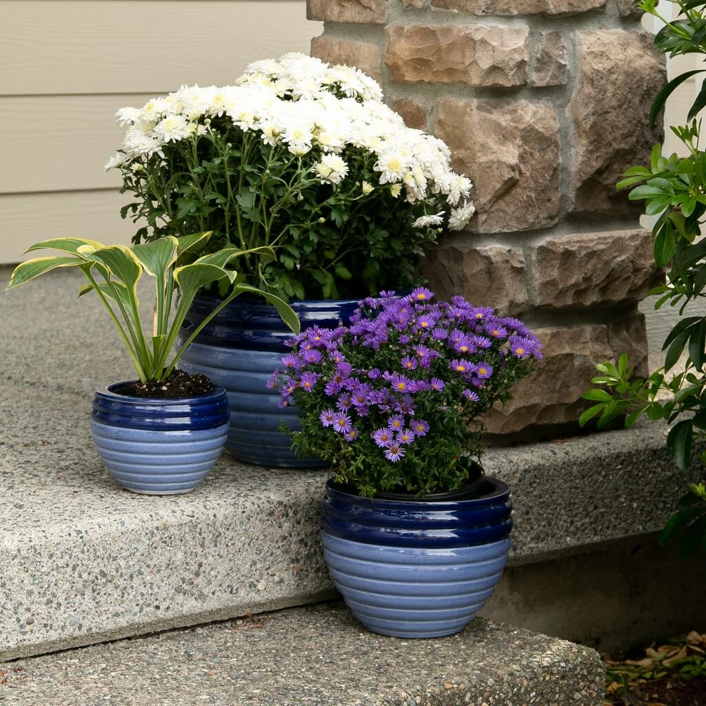 Top 10 π Duo Blue Tone Planter Set by Zingz & Thingz β 7 Top 10 π Duo Blue Tone Planter Set by Zingz & Thingz β - Image 5