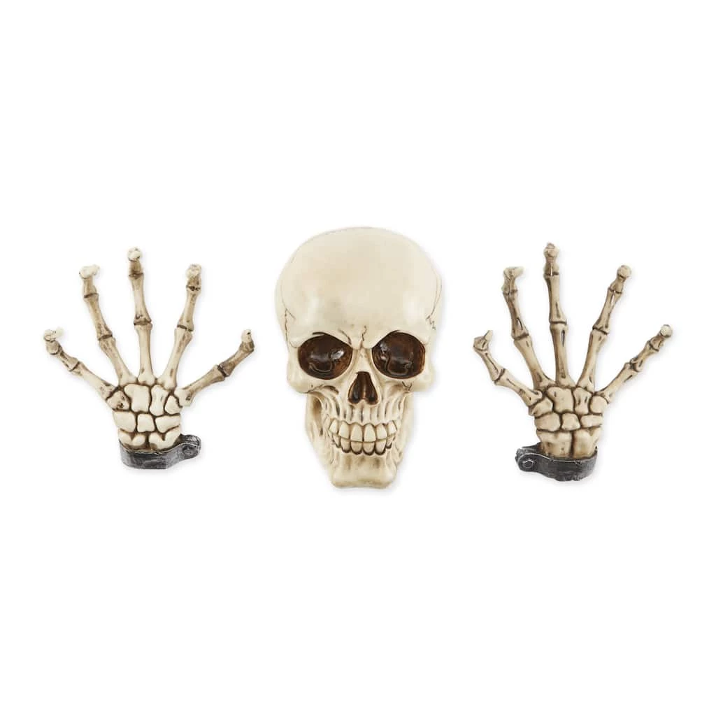 Best deal π 6" Skeleton Wall Décor Set by Zingz & Thingz π 3 Best deal π 6" Skeleton Wall Décor Set by Zingz & Thingz π