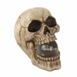 Wholesale 🛒 5" Realistic Human Skull with Light-Up Crystal Orb by Zingz & Thingz 👏