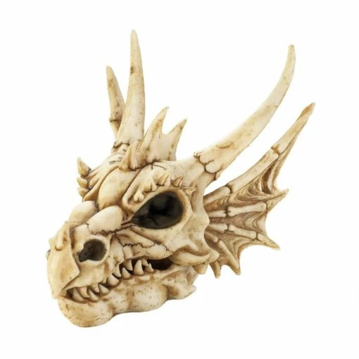 Discount ✔️ 8.5" Detailed Dragon Skull Trinket Box by Zingz & Thingz 🔔 -Zingz and Thingz Shop D670417S 1